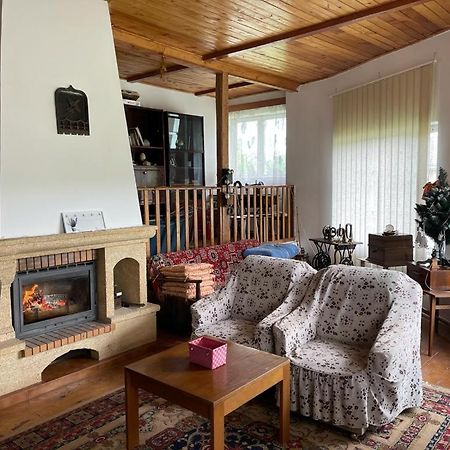 Casa Adelina Villa Valea Lunga-Cricov Eksteriør bilde