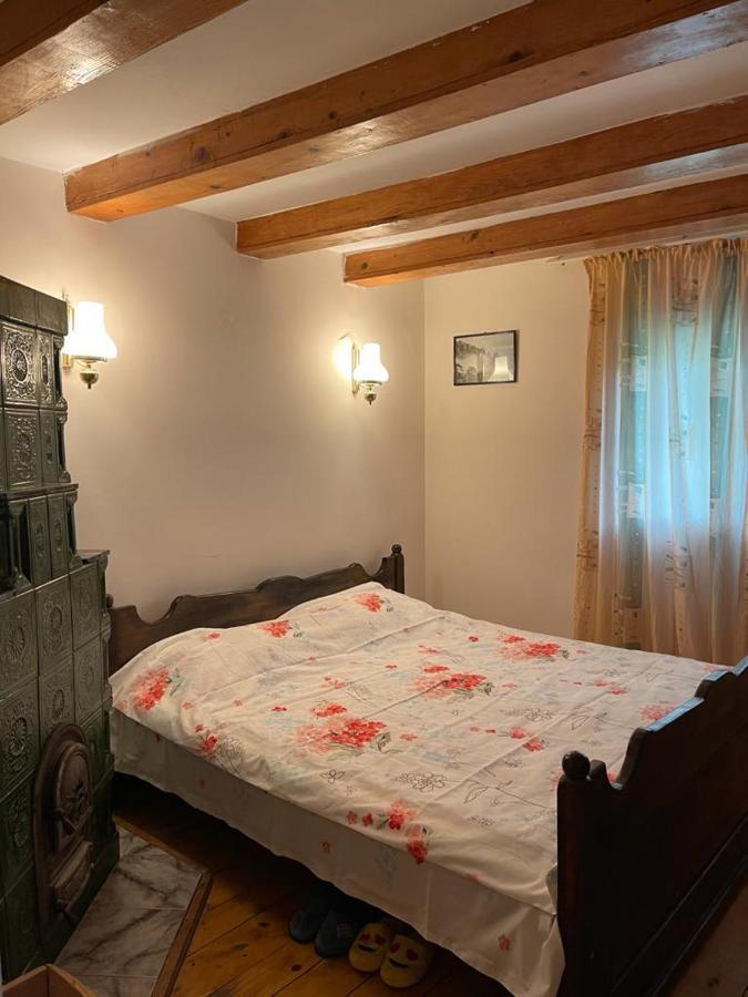 Casa Adelina Villa Valea Lunga-Cricov Eksteriør bilde