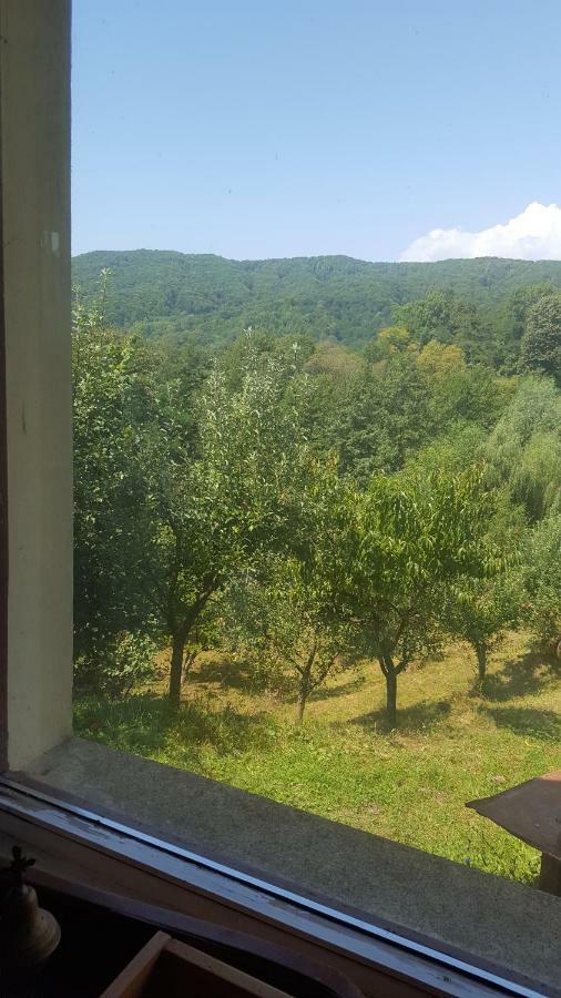 Casa Adelina Villa Valea Lunga-Cricov Eksteriør bilde